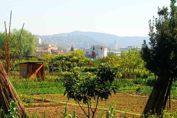 Foto: Ajuntament de Girona