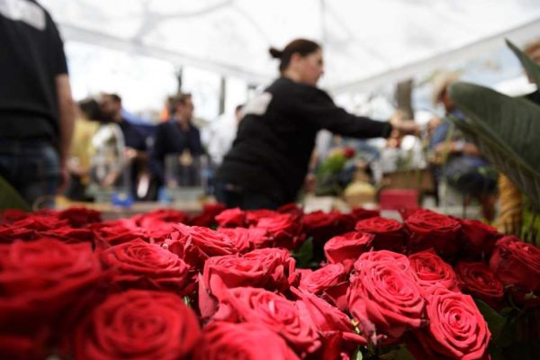 Sant Jordi torna al Barri Vell i amplia espais per afavorir l’activitat de floristes i llibreters